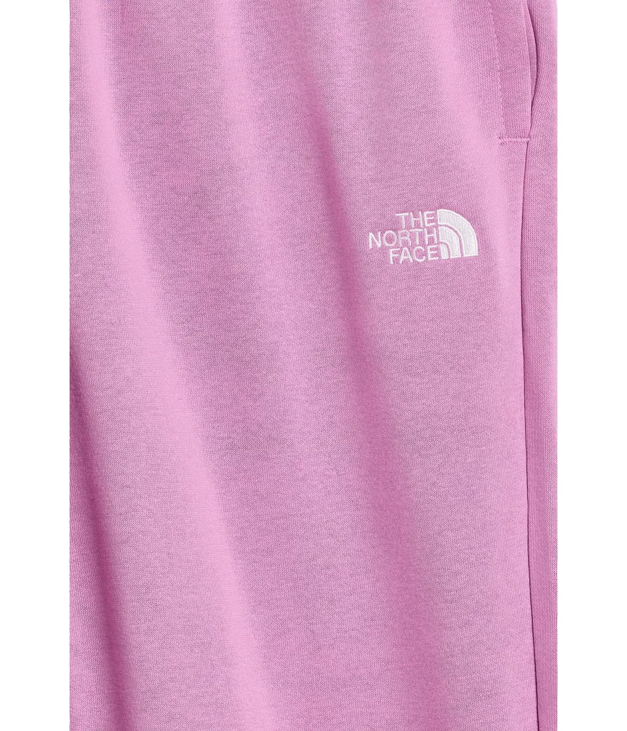 Брюки Teen Evolution EMB (для маленьких и больших детей) The North Face Kids, Hushed Lavender — фото 3