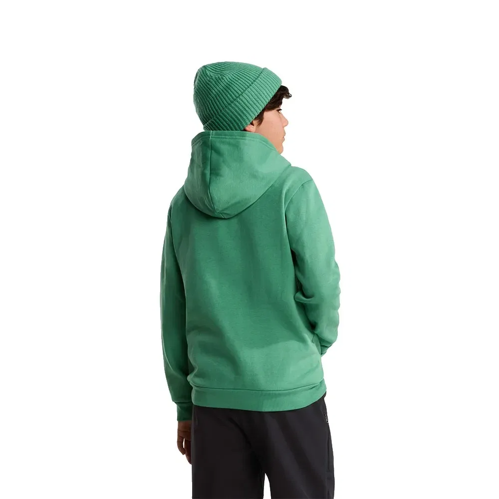 Детское худи для девочек с капюшоном Evolution Simple Dome The north face, Green — фото 2