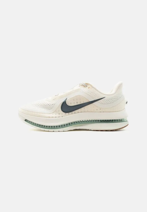 Кроссовки для бега по шоссе pegasus премиум-класса Nike Performance, Pale Ivory/Black Spruce/Jade Horizon/Spruce Aura/Sail