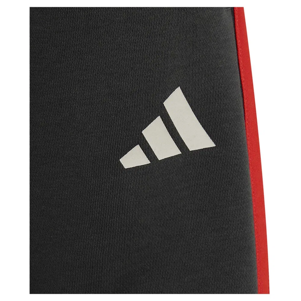 Шорты F1 Team DNA Adidas, черный — фото 4