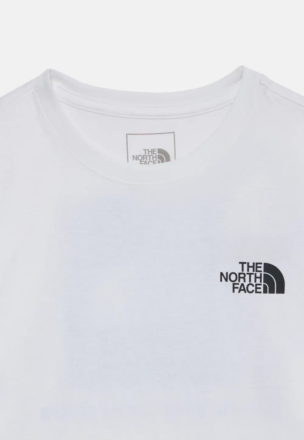 Футболка унисекс с принтом Teen Evolution Box Tee The North Face, White — фото 3