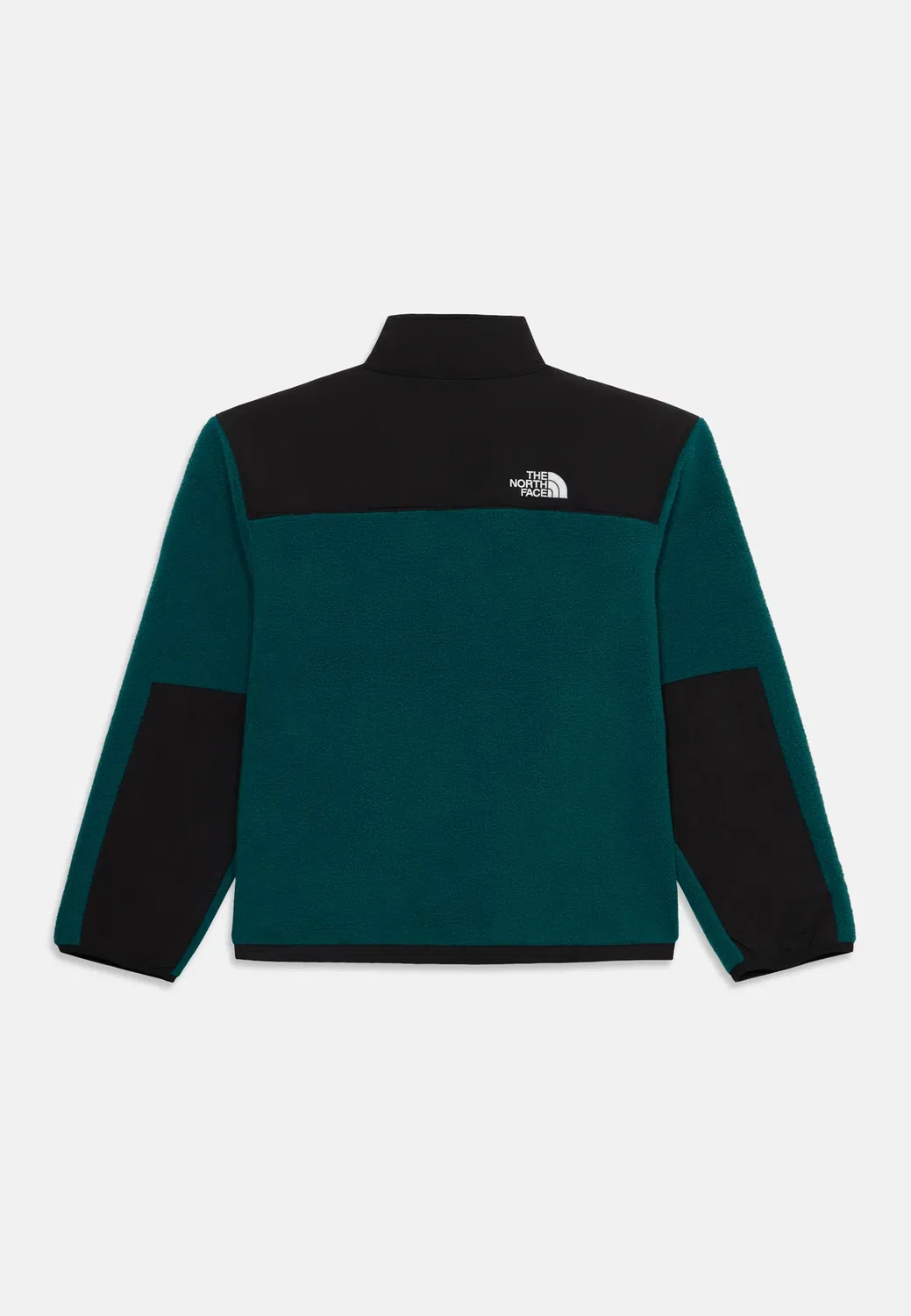 Куртка Denali унисекс из флиса The North Face, Pacific Teal — фото 2