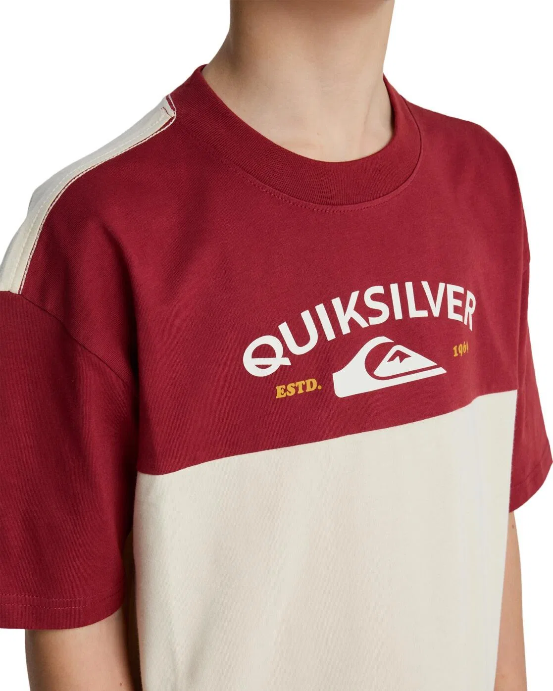 Детская футболка с принтом KNOWLEDGE AERA Quiksilver, Beige — фото 4