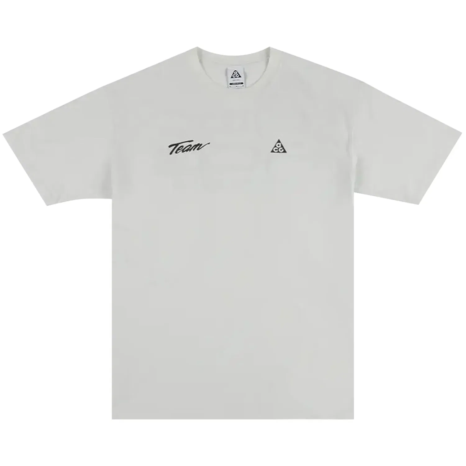 Футболка свободная Nike ACG Dri-Fit All Conditions Racing Department, Summit White