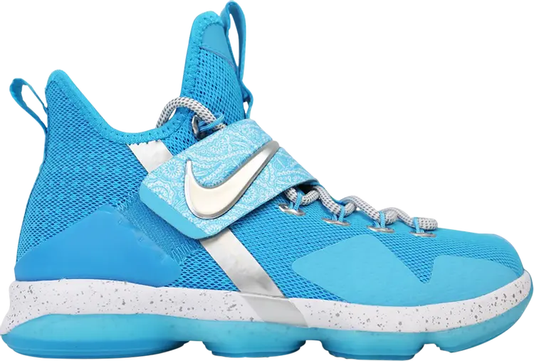 

Кроссовки Nike LeBron 14 GS 'The Nature Boy', синий