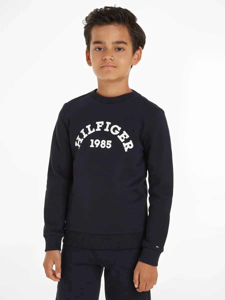 

Толстовка Tommy Hilfiger "HILFIGER 1985 SWEATSHIRT", дети до 16 лет, с логотипом, цвет Desert Sky
