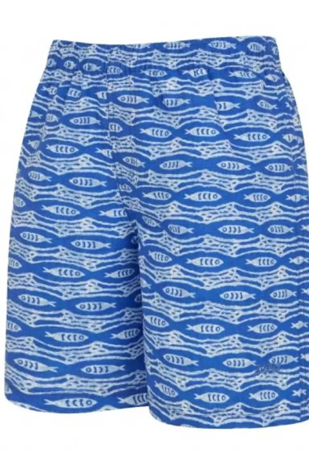Детские плавки-шорты для мальчиков Pisces 15 Inch Zoggs, Blue