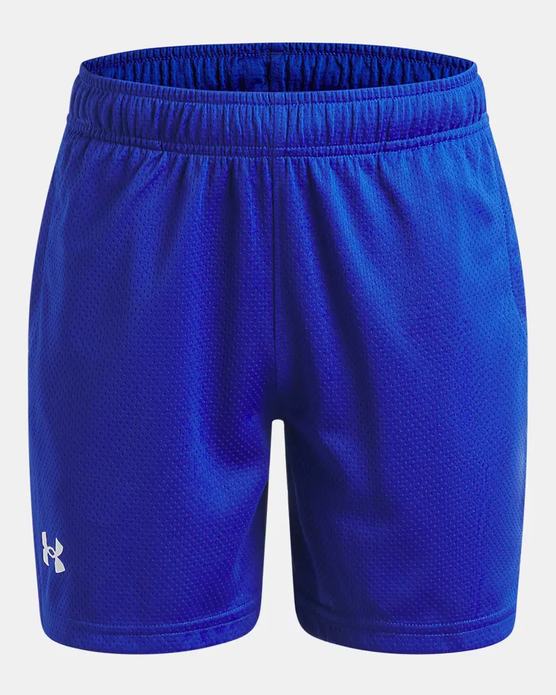 Шорты с длиной по внутреннему шву 12,7 см из легкой дышащей сетки UA Tech Mesh UnderArmour, Royal/White