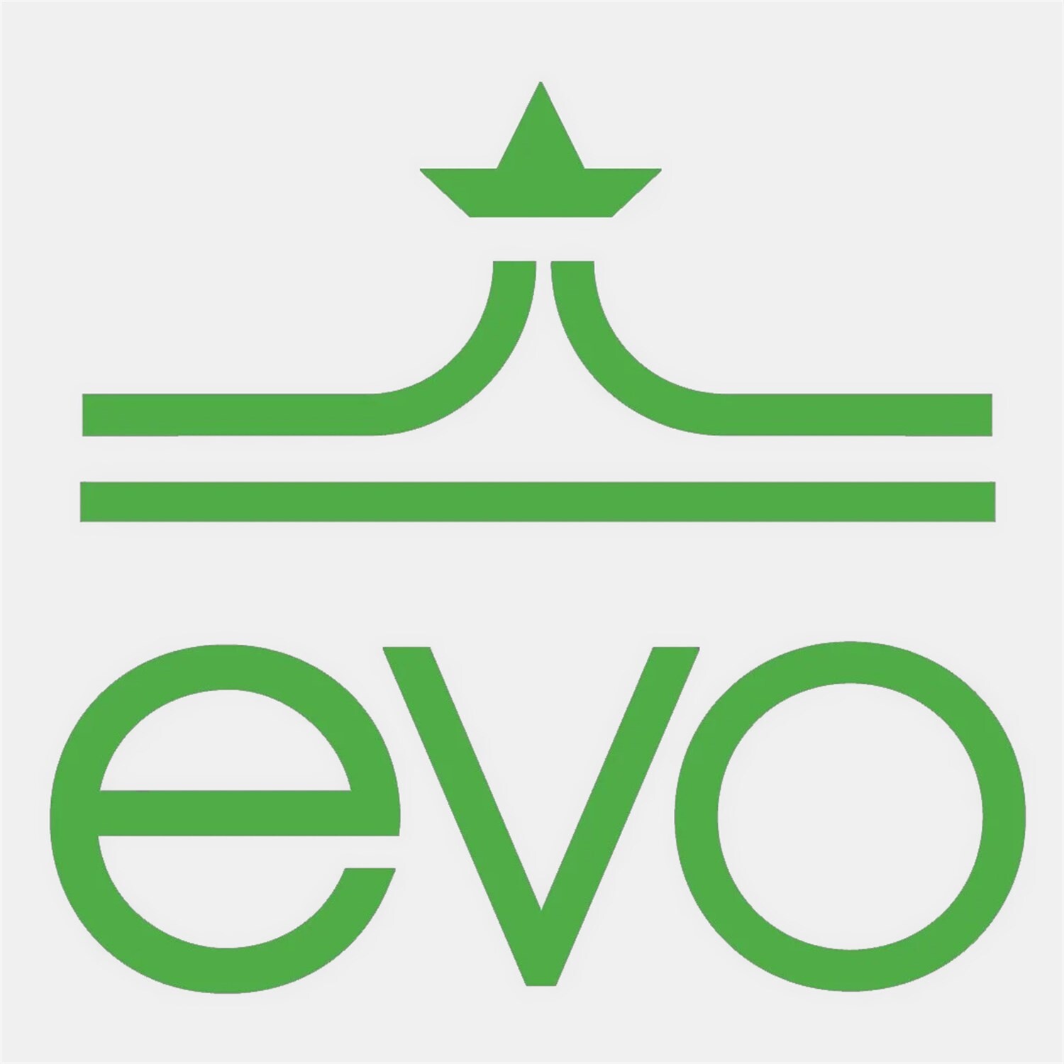 

Наклейка Evo, зеленый