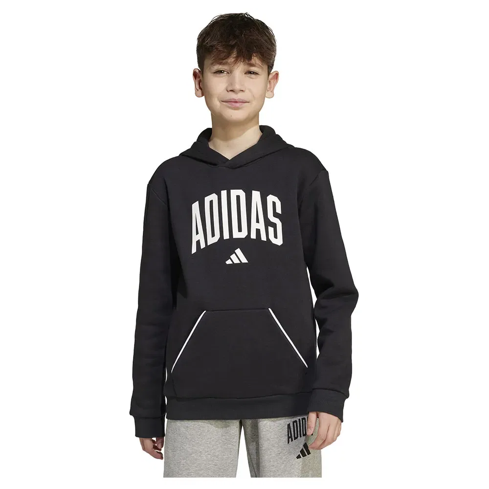 Худи Adidas Seasonals Essentials Collegiate Typography, черный