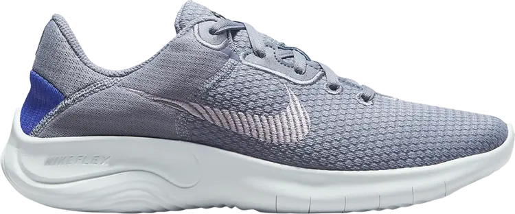 

Кроссовки Nike Wmns Flex Experience Run 11 Next Nature 'Ashen Slate Doll', синий