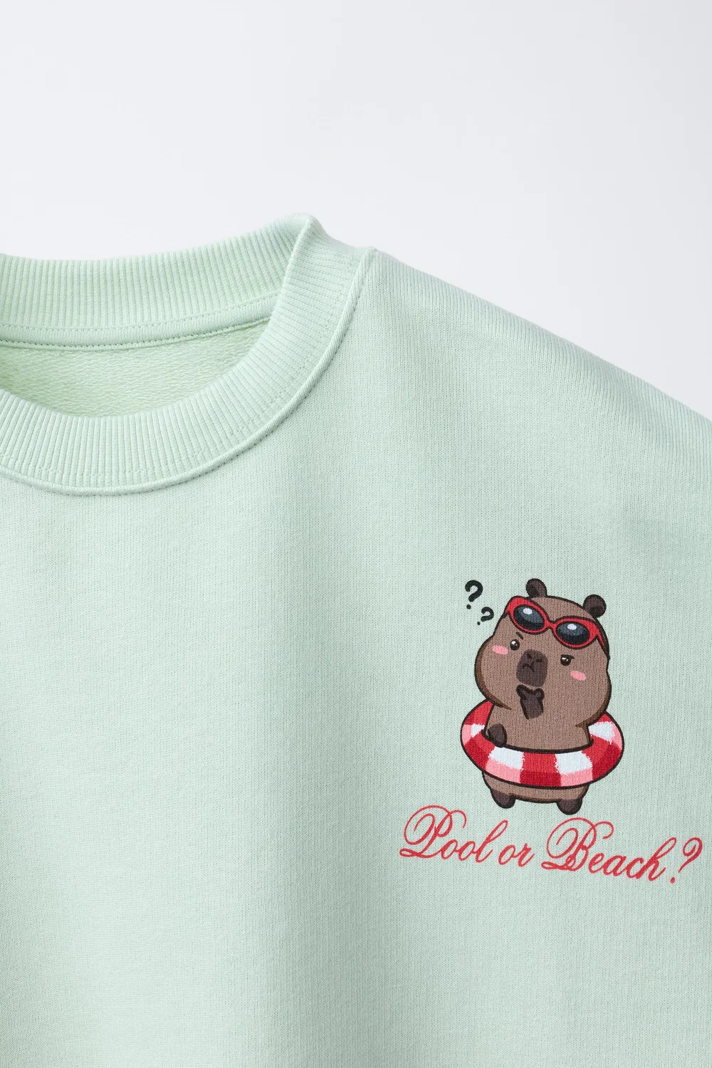 CAPIBARA CAPYFUN СВИТШОТ С ПРИНТОМ ZARA, Light Green — фото 3