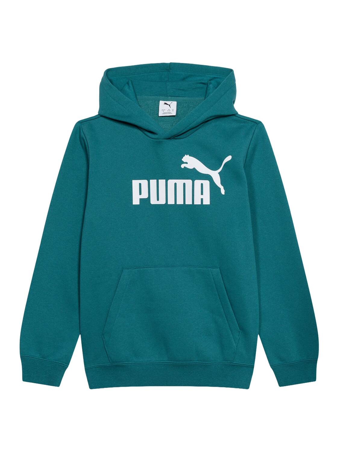

PUMA Толстовка 'ESS No. 1' в цвете Emerald