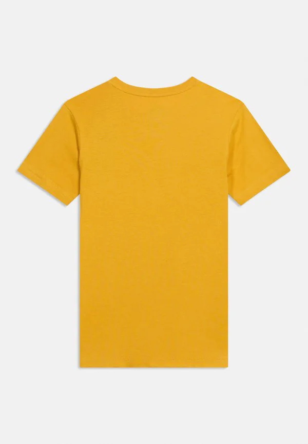 Футболка унисекс с принтом «горизонт» Quiksilver, Mottled Yellow — фото 2