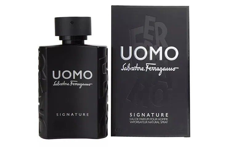 what does ferragamo mean - Ilustrasi 2