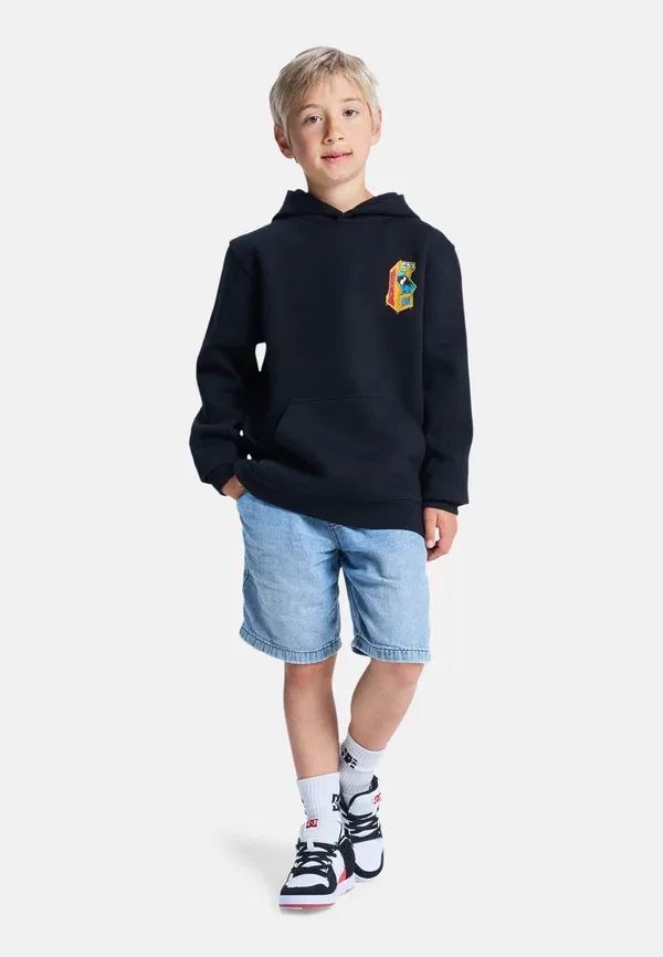 Толстовка Dc Shoes, модель Insert a coin, цвет чёрный