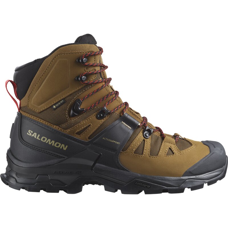 

Трекинговые ботинки Quest 4 GTX Salomon, мультиколор