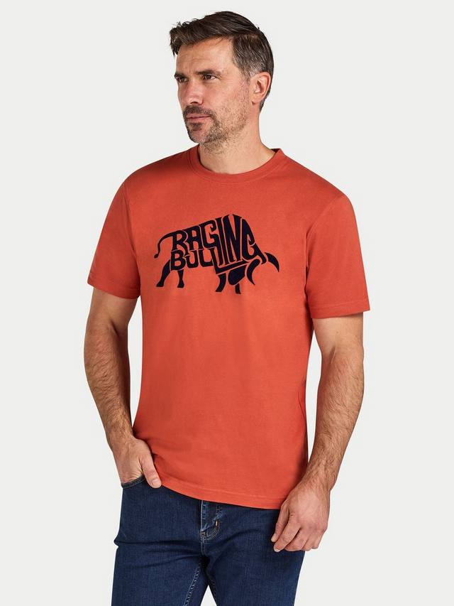 

Хлопковая футболка Regular Fit с коротким рукавом и логотипом Raging Bull, Orange