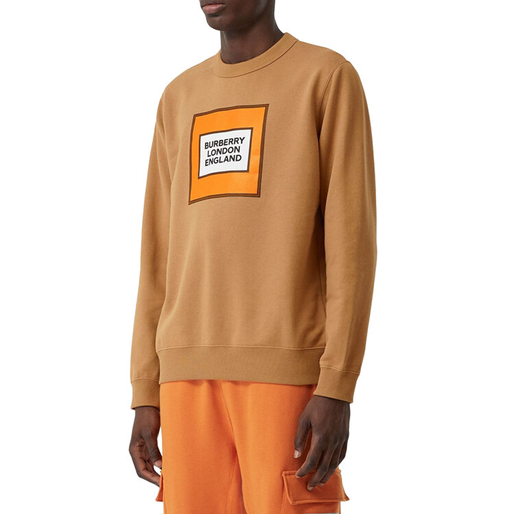Толстовка Burberry Nut color, мужская, орехового цвета — фото 3