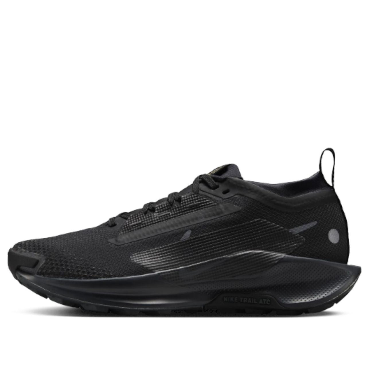 Кроссовки (WMNS) Nike Pegasus Trail 5 Gore-Tex 'Black Anthracite'