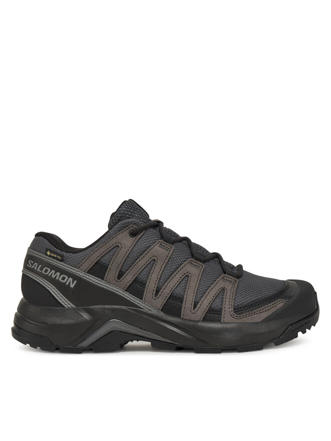 

Треккинговые кроссовки X-Adventure Recon Gore Tex L47809200 Salomon, серый