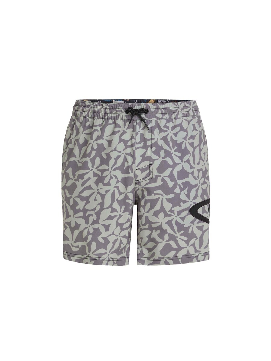 

Шорты ONEILL Board Shorts Cali Ocean, пастельно-зеленый/светло-фиолетовый