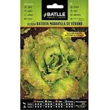 

Летняя битва «Maresme Wonder» Good4you