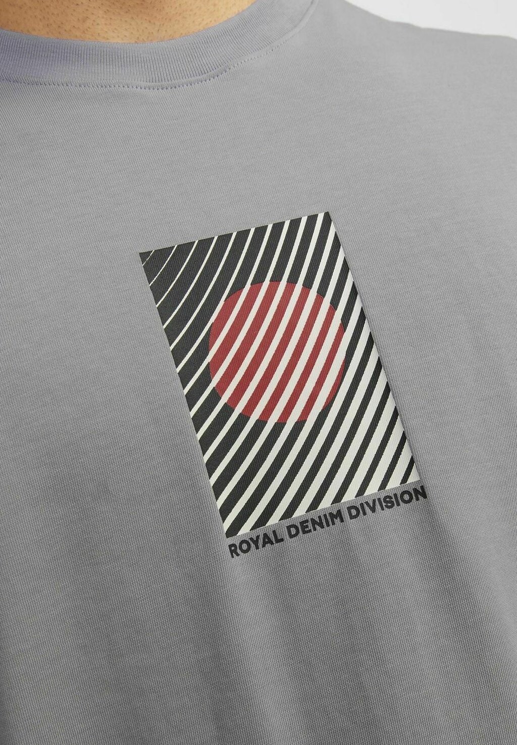 

Футболка с принтом Rundhals R.D.D. ROYAL DENIM DIVISION, серый