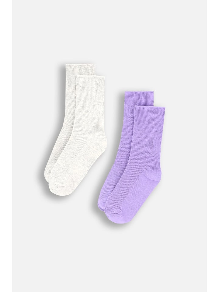 

Coccodrillo Разноцветные носки