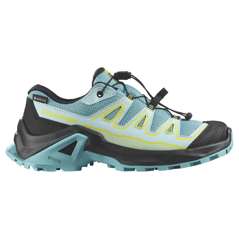 

Походные ботинки Salomon X Ultra Goretex, синий