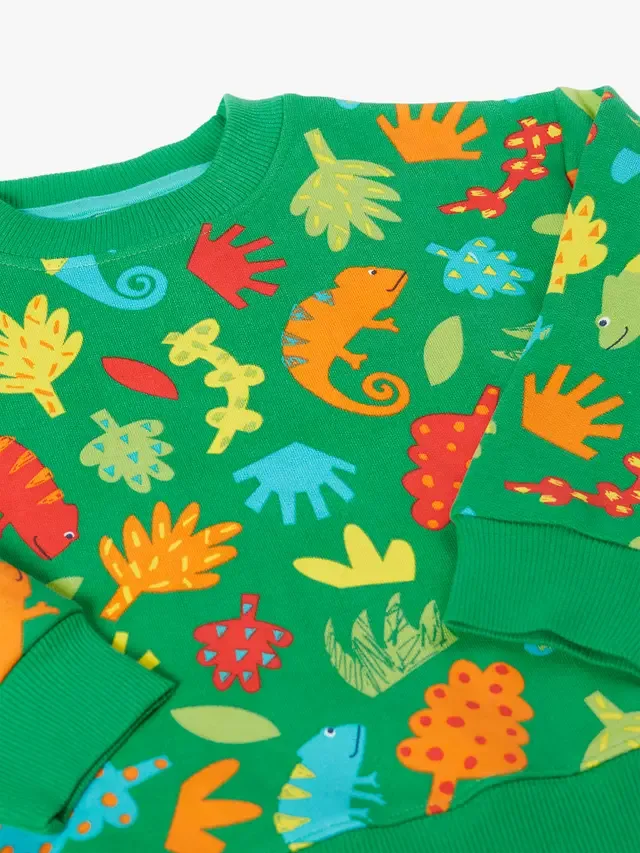 Детская толстовка из превосходного хлопкового флиса, Chameleon Camp Frugi — фото 3