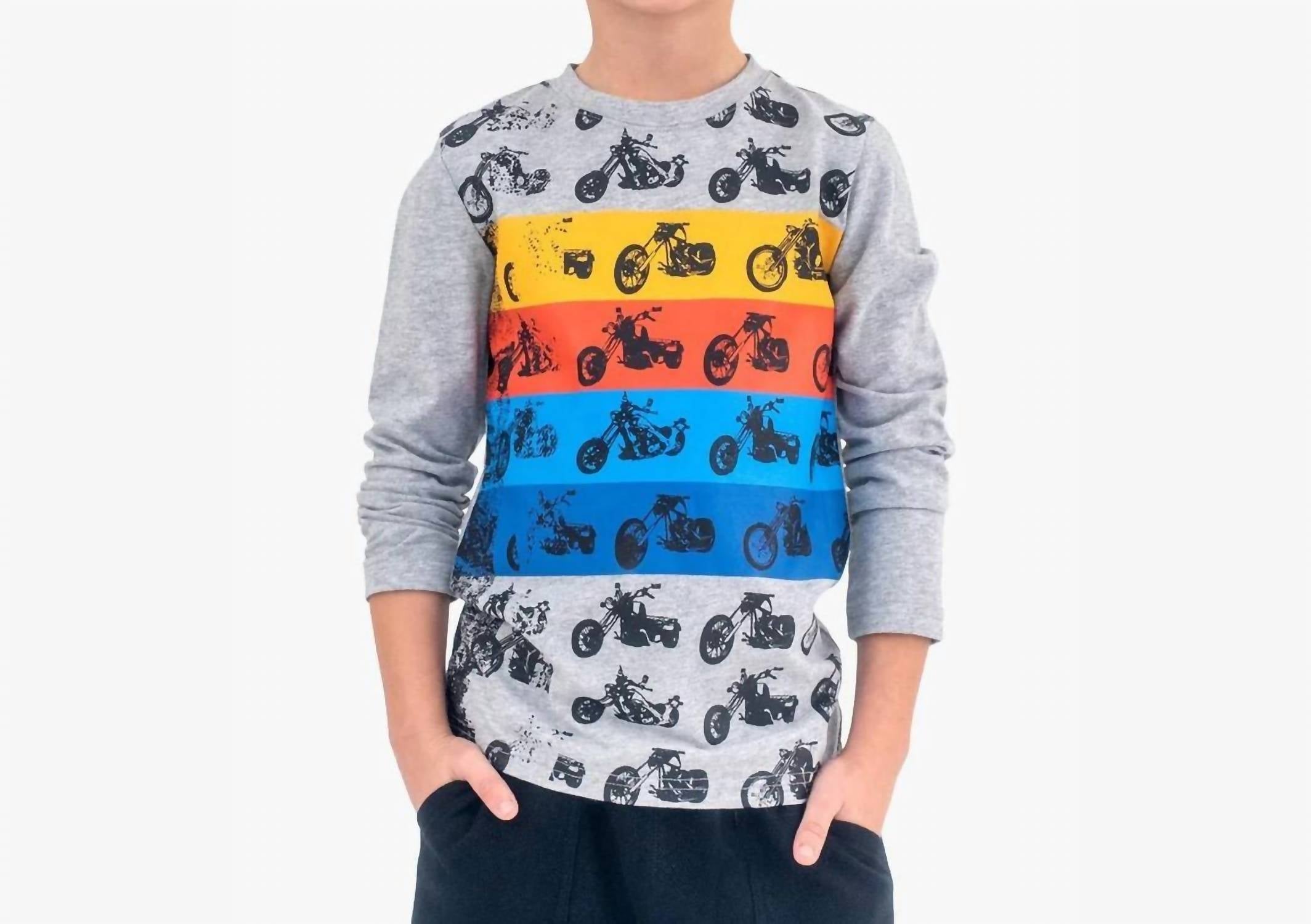 

Футболка Boys Chopper Graphic Tee в цвете Heather Mist Appaman