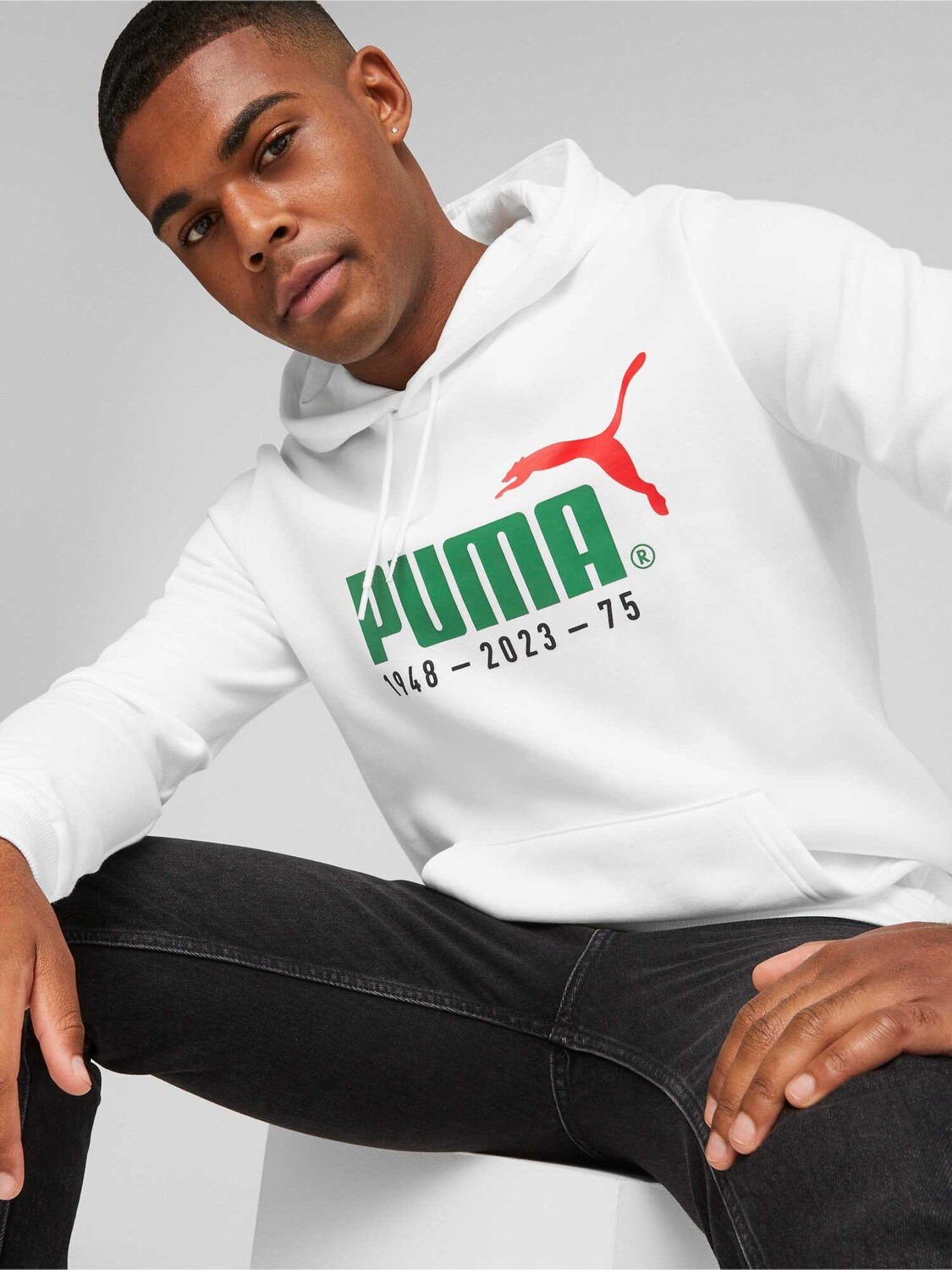 

Толстовка Puma No. 1 Logo Celebration Hoodie FL, белый