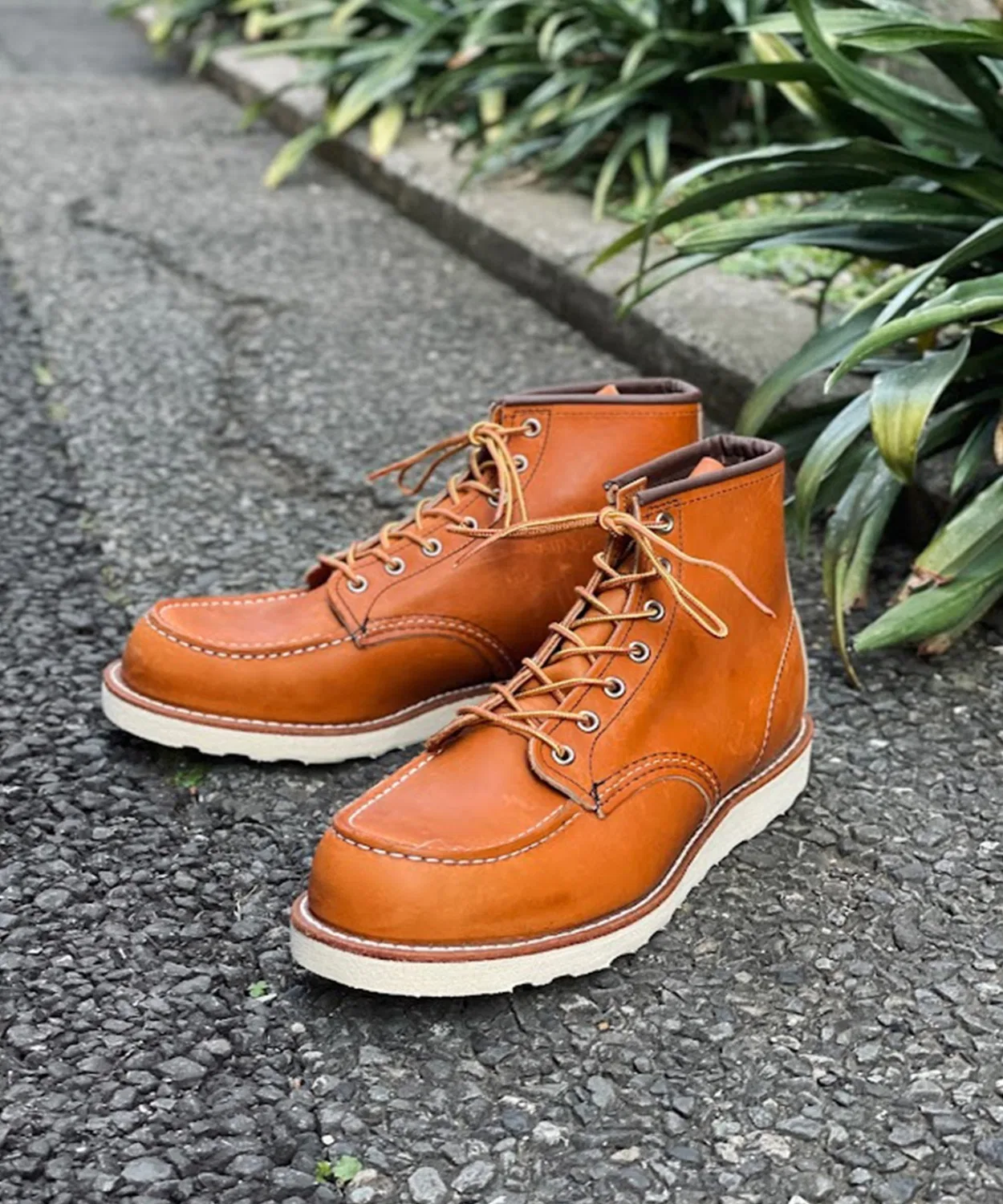 Ботинки Red Wing 875 Classic Moc 6 дюймов Oro Legacy коричневый