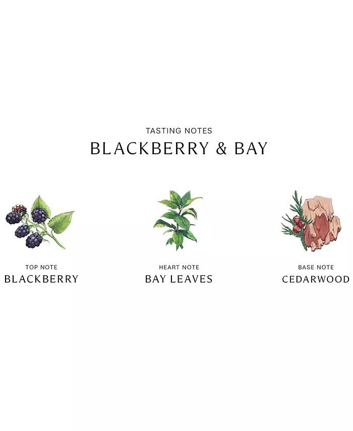 Лосьон для тела и рук Blackberry & Bay, 8,5 унций Jo Malone London — фото 3