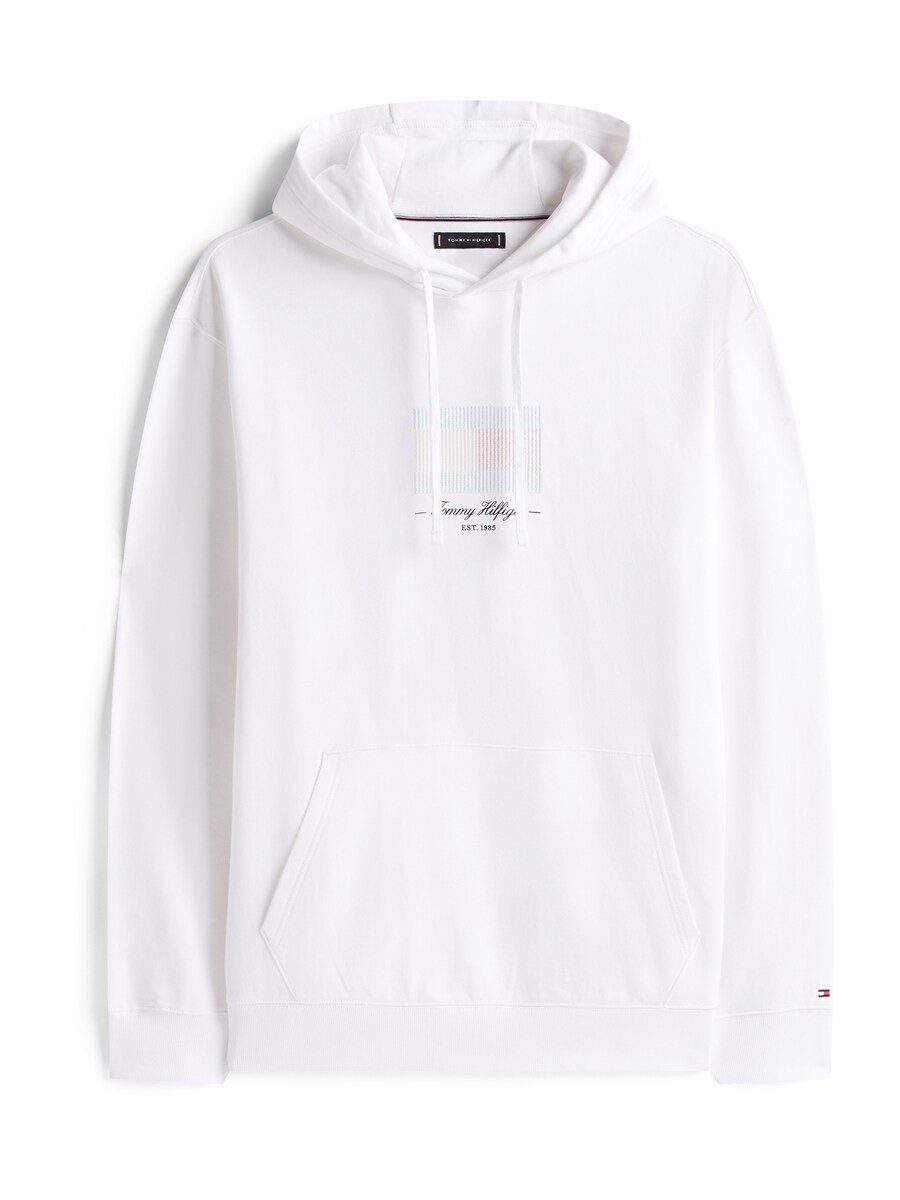 

Толстовка Tommy Hilfiger Big & Tall ITHACA, белый
