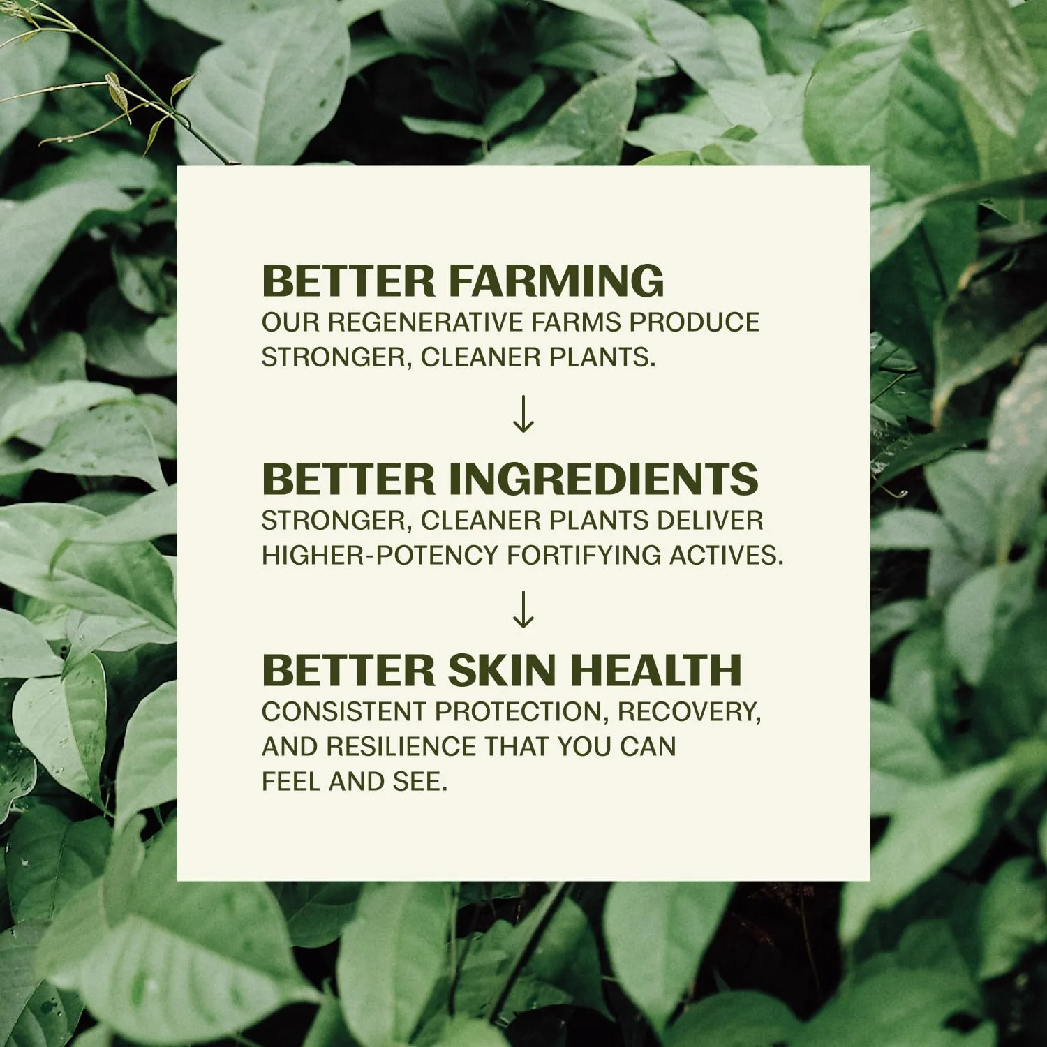 Thrive Natural Care скраб для лица для мужчин и женщин - отшелушивающее средство с антиоксидантами, улучшает текстуру кожи, очищает поры и помогает предотвратить врастание волос - набор из 3 штук 100 мл (3 шт.) — фото 4