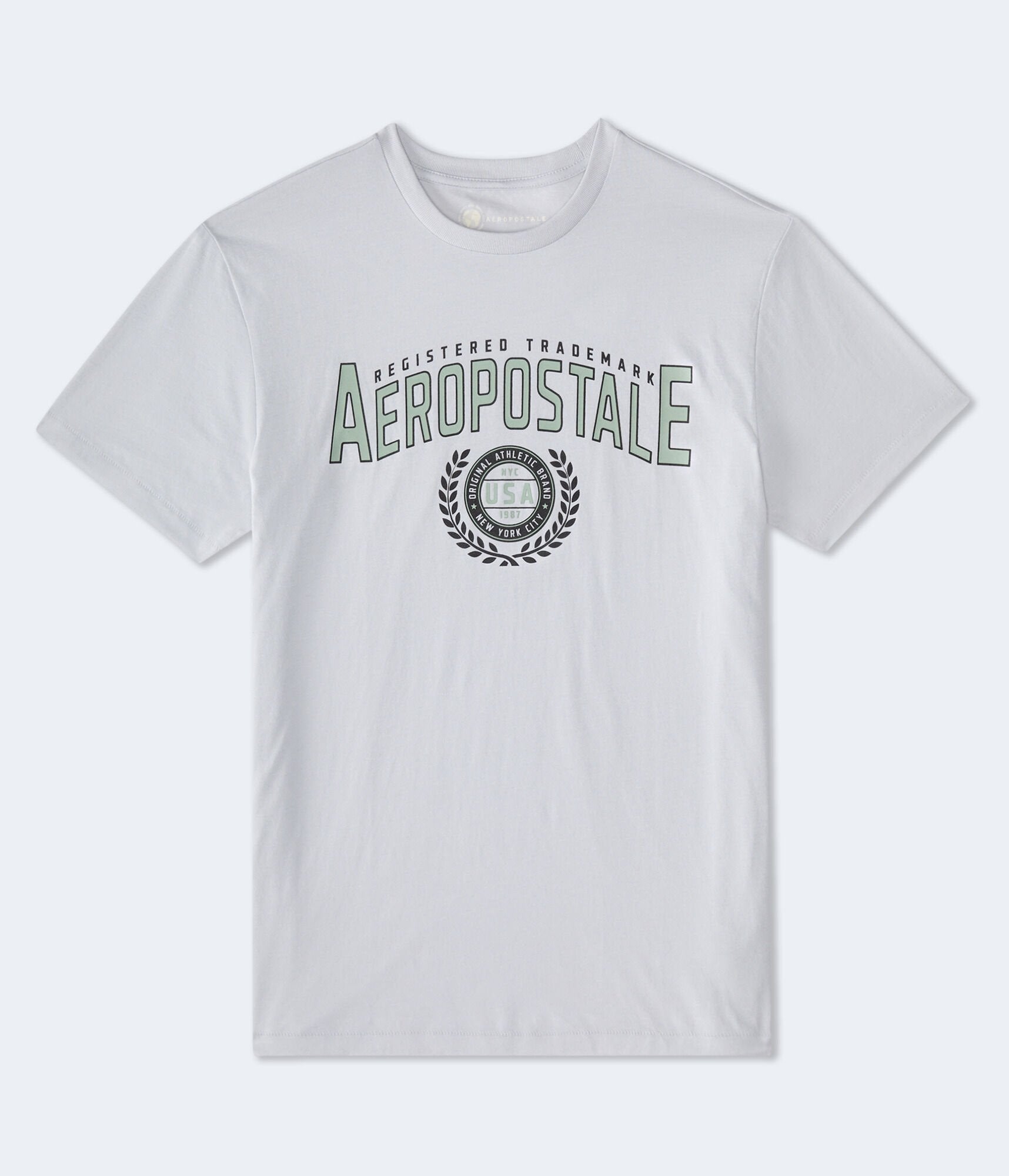 

Футболка с графическим логотипом Aeropostale Laurels, серый