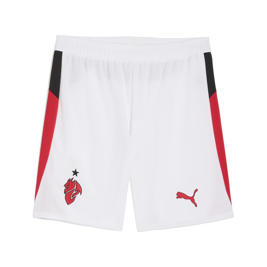 

Обычные спортивные штаны PUMA AC Milan 25/26, белый