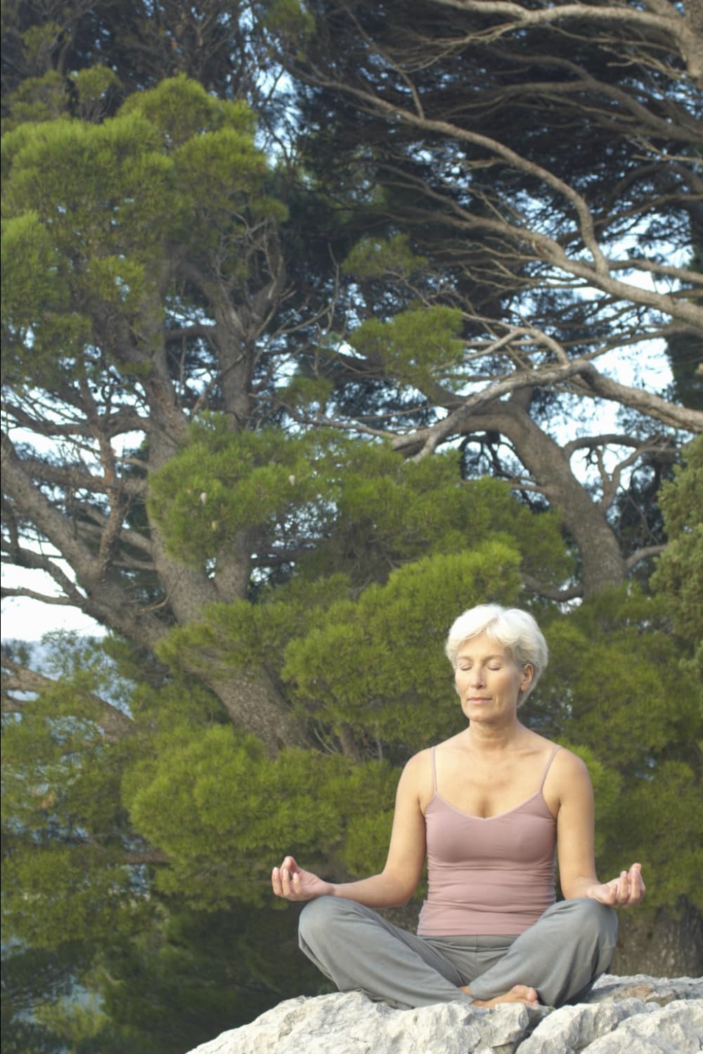 

The War of the Worlds (Independently published)