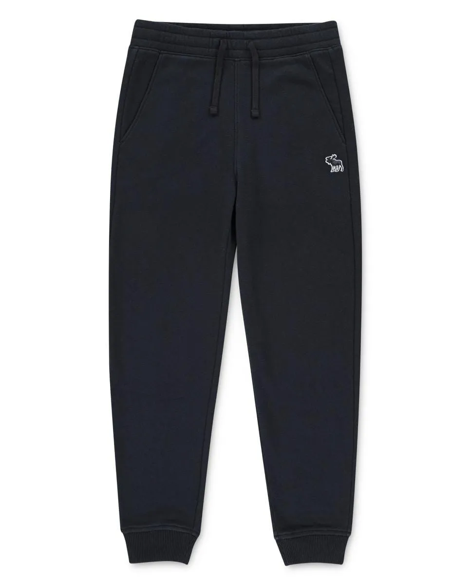 

Флисовые спортивные штаны & Fitch Essential для мальчика Abercrombie, мультиколор