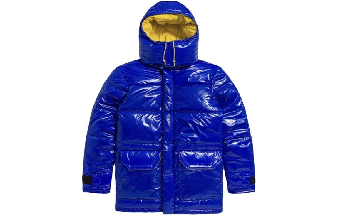 

THE NORTH FACE Мужской пуховик, цвет Blue