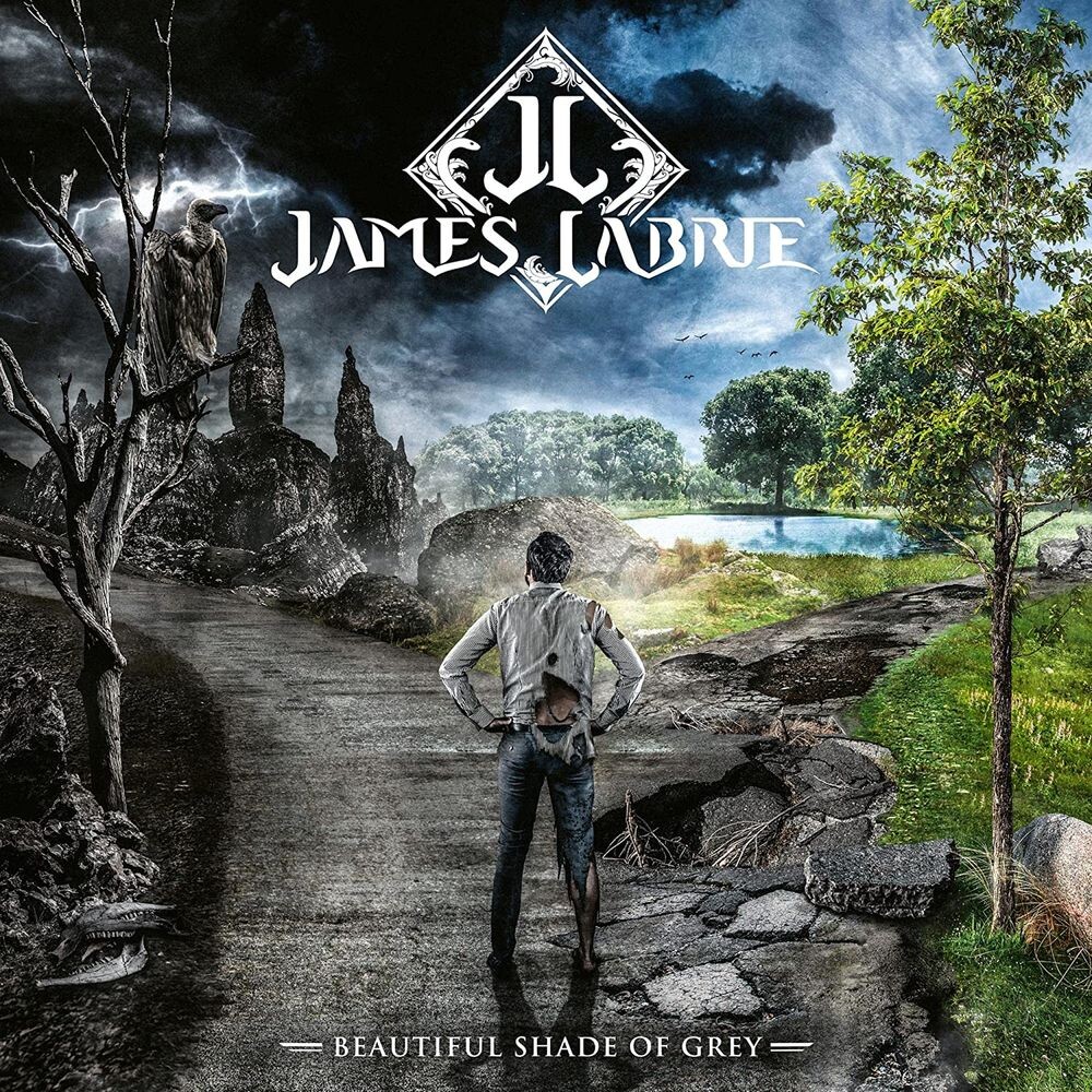 

Виниловая пластинка LP Beautiful Shade Of Grey - James LaBrie