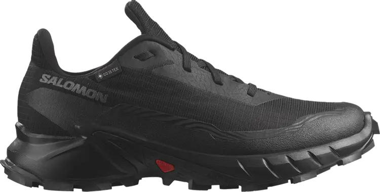 

Кроссовки Wmns Alphacross 5 GORE-TEX 'Black Ebony', черный