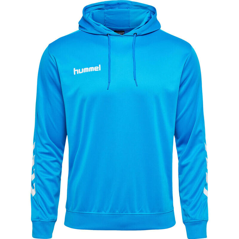 

Спортивная толстовка Hummel, цвет heidelbeerblau/hellblau/hellblau