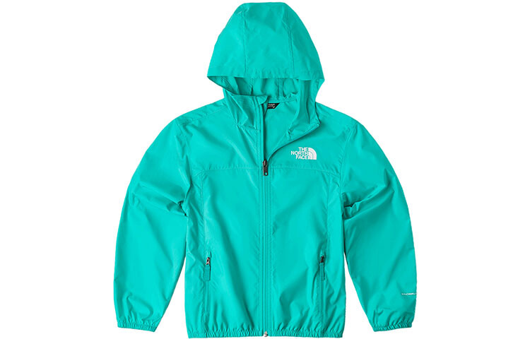 

Ветровка THE NORTH FACE, синий