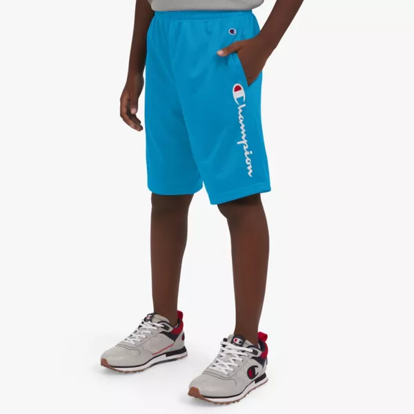 

Мальчиковые сетчатые спортивные шорты Champion, цвет malibu blue