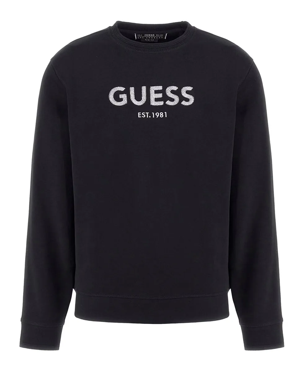 

Мужская толстовка с капюшоном Guess, черный