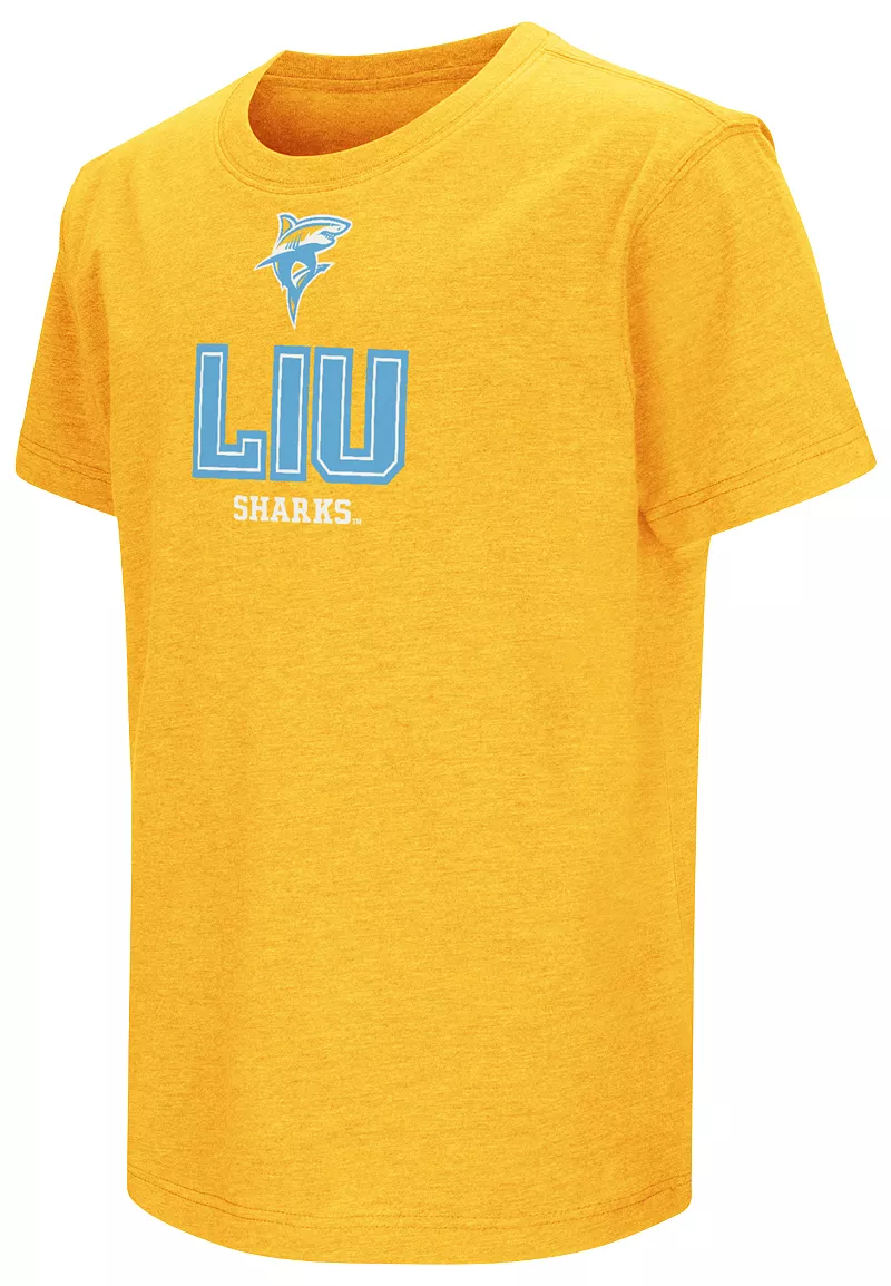 

Золотая футболка Colosseum Youth LIU Brooklyn Blackbirds