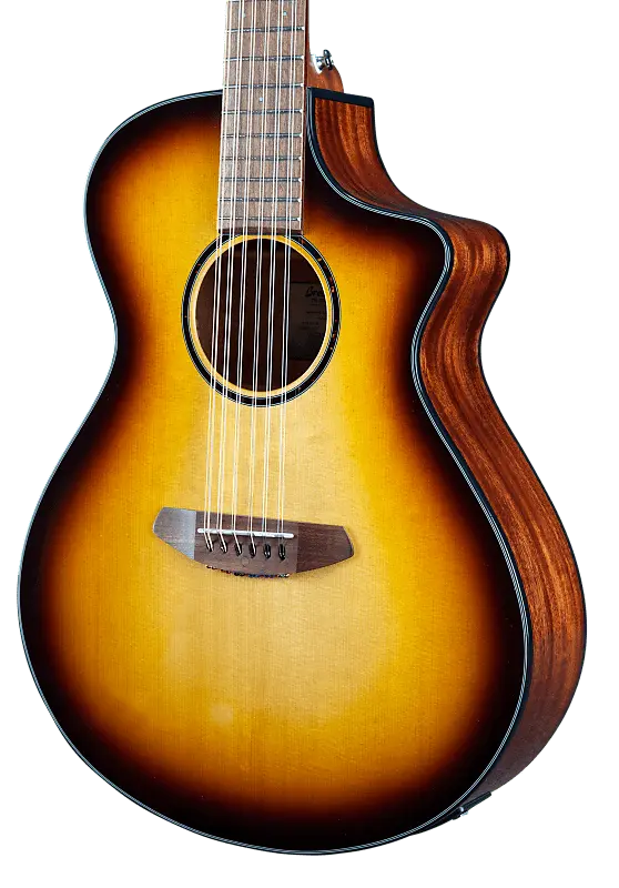 

Акустическая гитара Breedlove Discovery S Concert Edgeburst 12 String CE acoustic electric